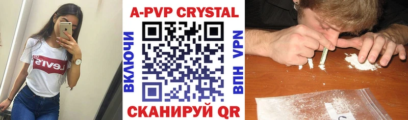 Купить закладки  Новоузенск  A PVP кристаллы 