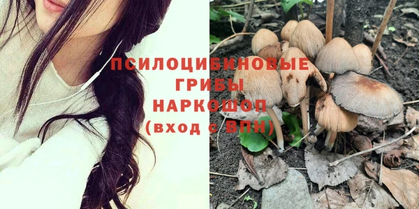 мдпв Мегион