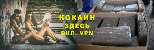 бошки Медногорск