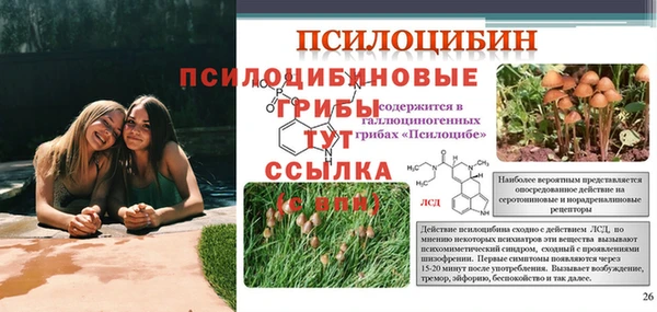 мдпв Мегион
