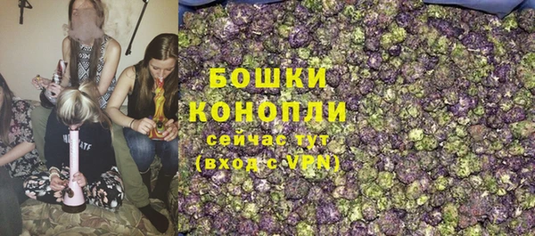 мдпв Мегион