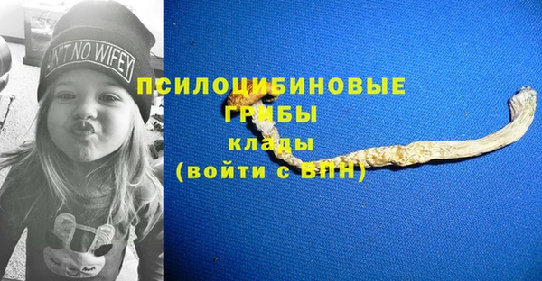 мдпв Мегион