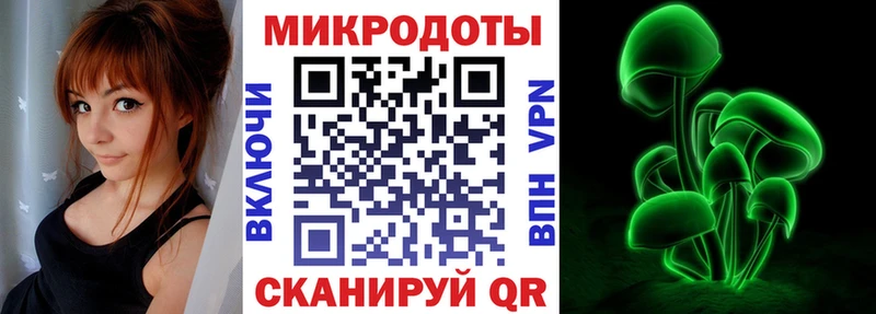 Псилоцибиновые грибы Psilocybe  Купить закладки  Новоузенск 