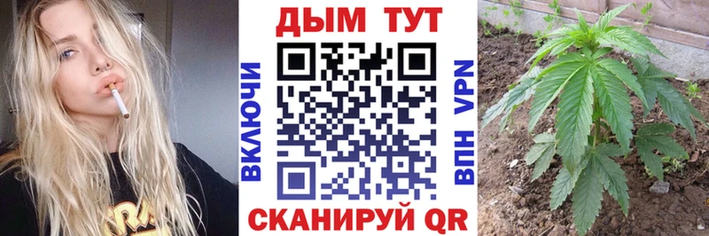 Купить Новоузенск Каннабис ГИДРОПОН